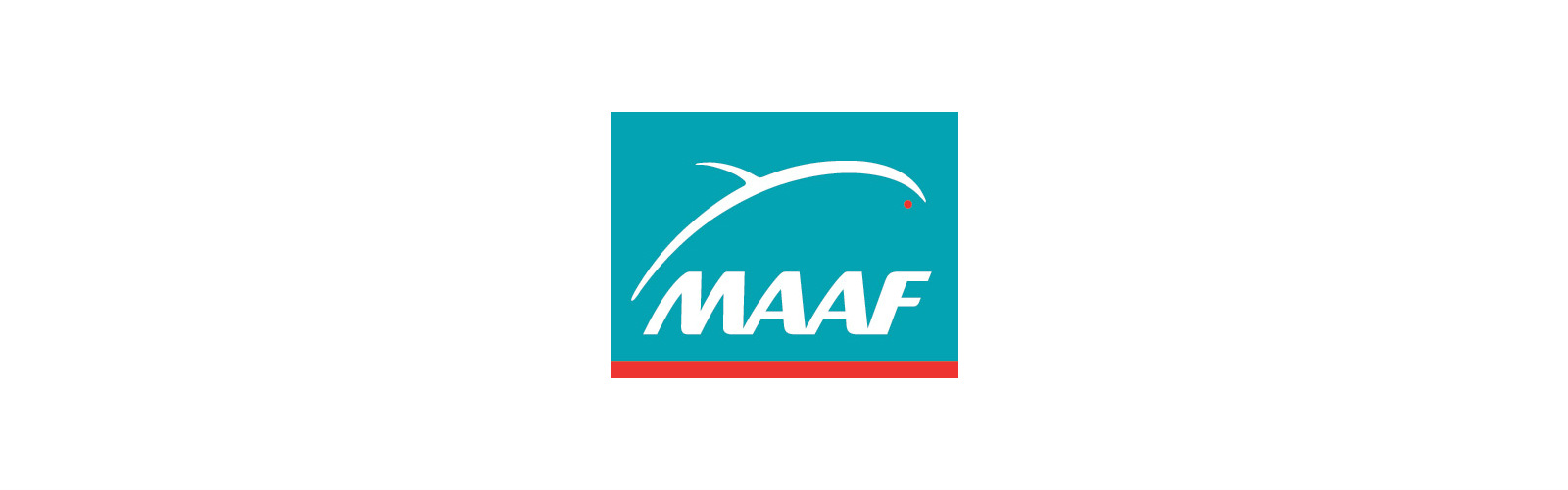 Assurance jeune conducteur - Nos conseils - MAAF